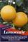 Lemonade Tree