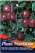 Dwarf Plum - Mariposa