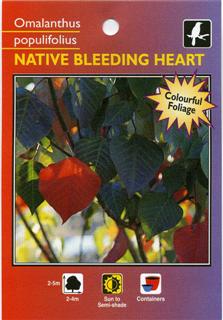 Native Bleeding Heart