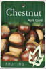 Castanea Sativa April Gold - Chestnut April Gold