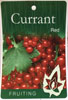 Ribes Rubrum Red - Currant Red